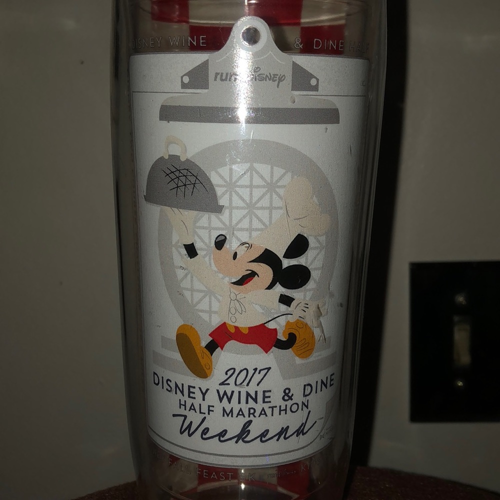 Disney Tervis Bottle
